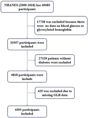 Association Between Globulin and Diabetic Nephropathy in Type2 Diabetes Mellitus Patients: A Cross-Sectional Study